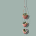 Three-tiered hand woven hanging planter with succulents on a light green background