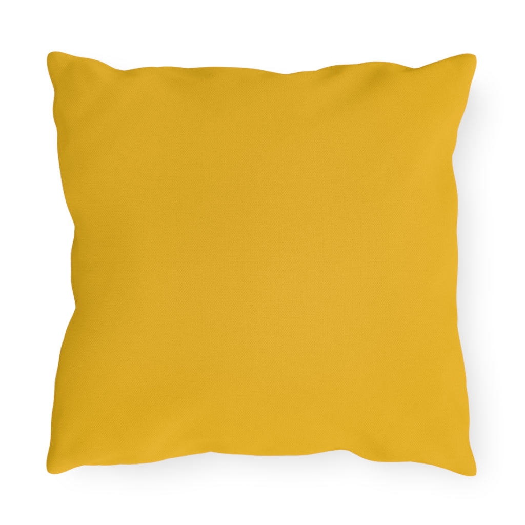 Outdoor Pillows