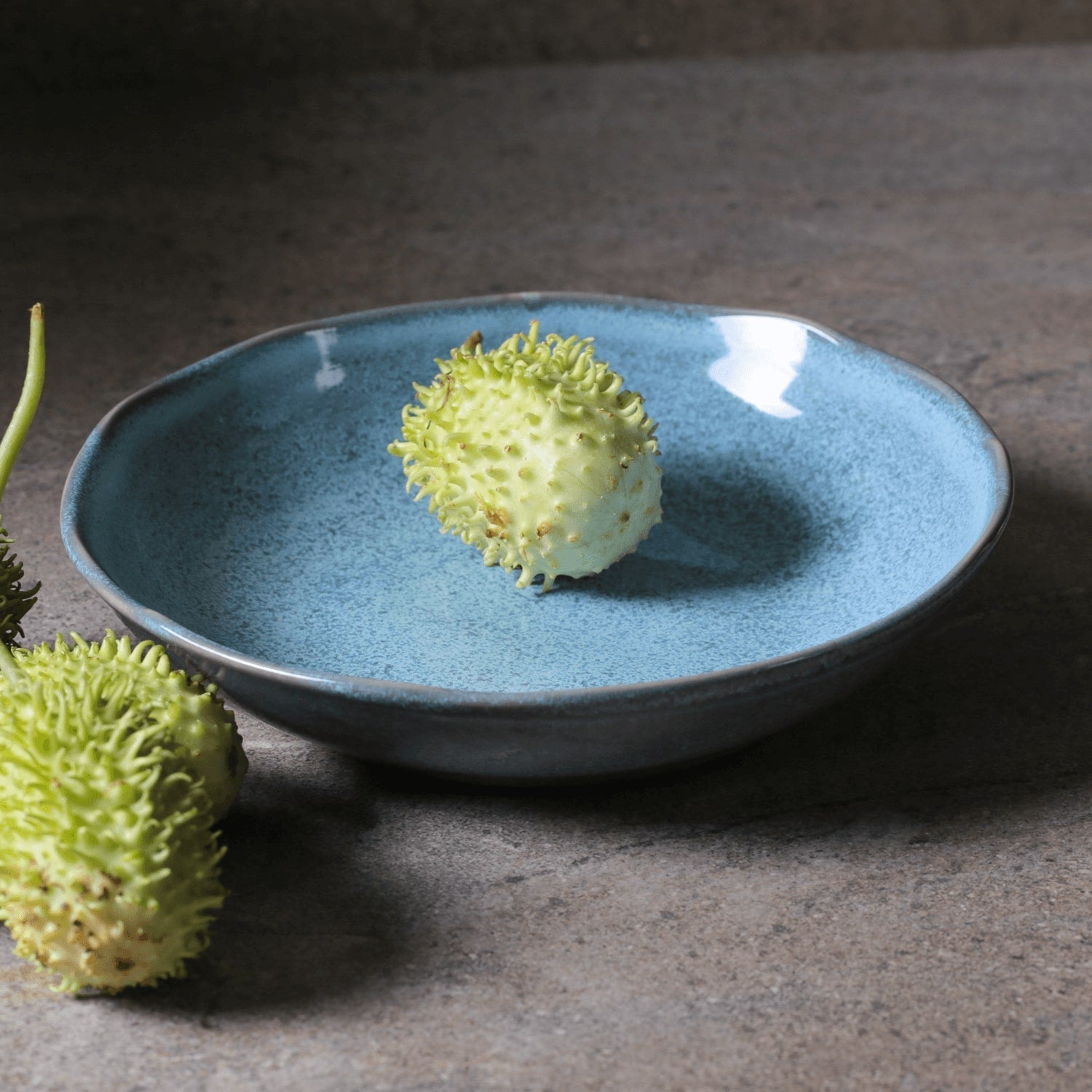 Pasta Plate Set of 6